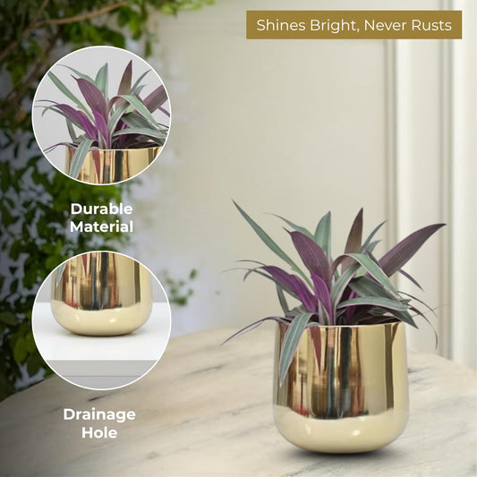 Luxury Big Golden Pot