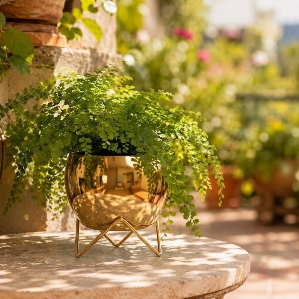 Luxury Golden Metal Planter with Stand
