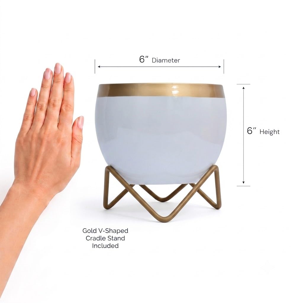 Premium Gold Rim pots