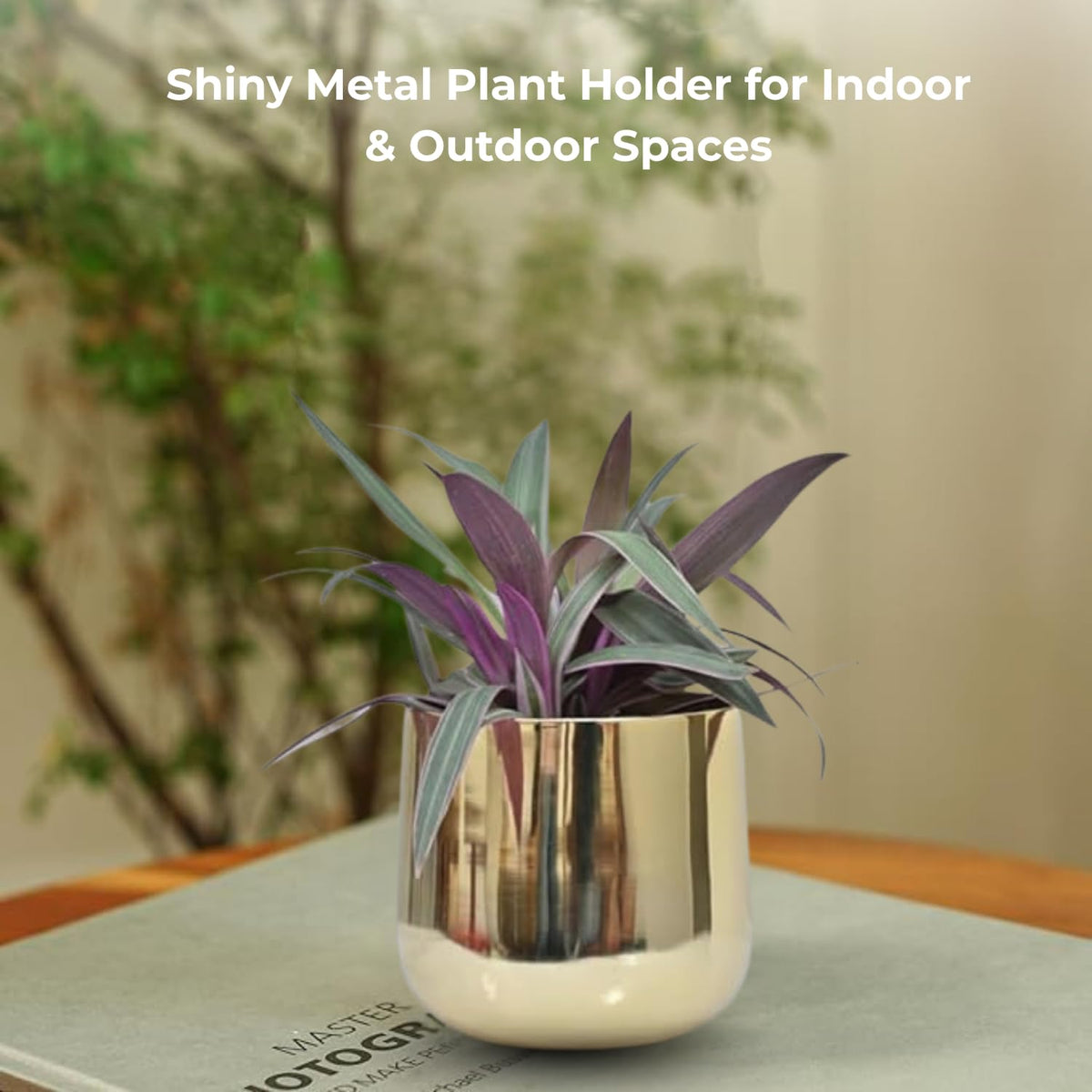 Luxury Big Golden Pot
