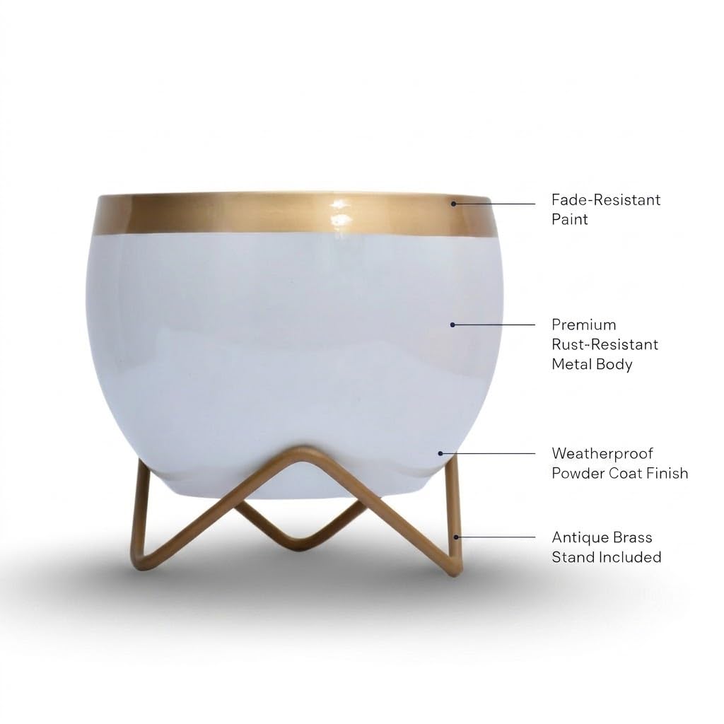 Premium Gold Rim pots