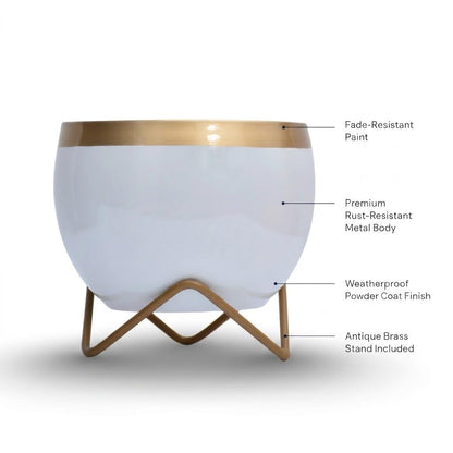 Premium Gold-Rim Metal Planters
