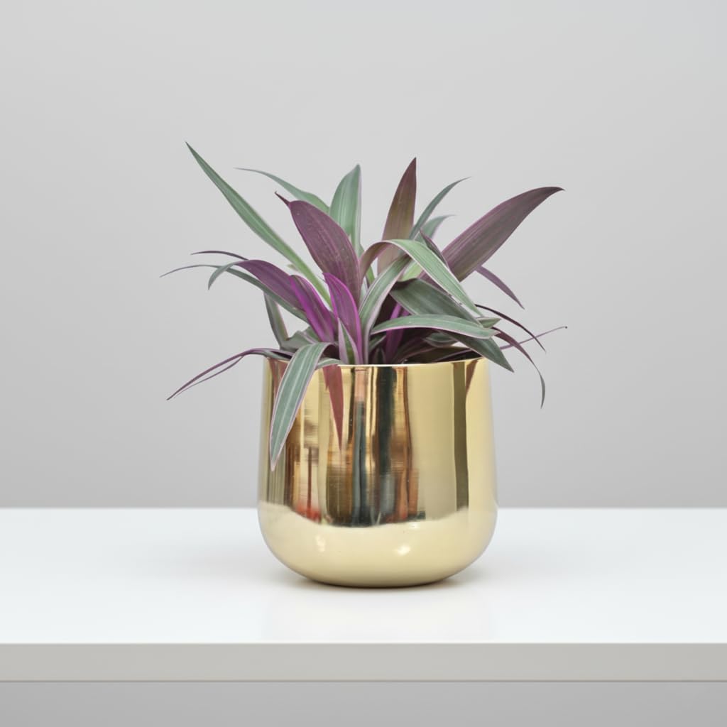 Luxury Big Golden Pot
