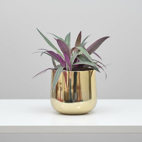 Luxury Tall Golden Metal Planter