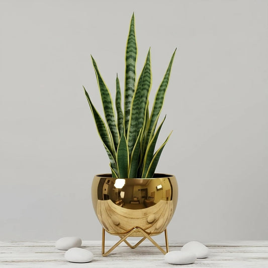 Luxury Golden Metal Pot with Stand