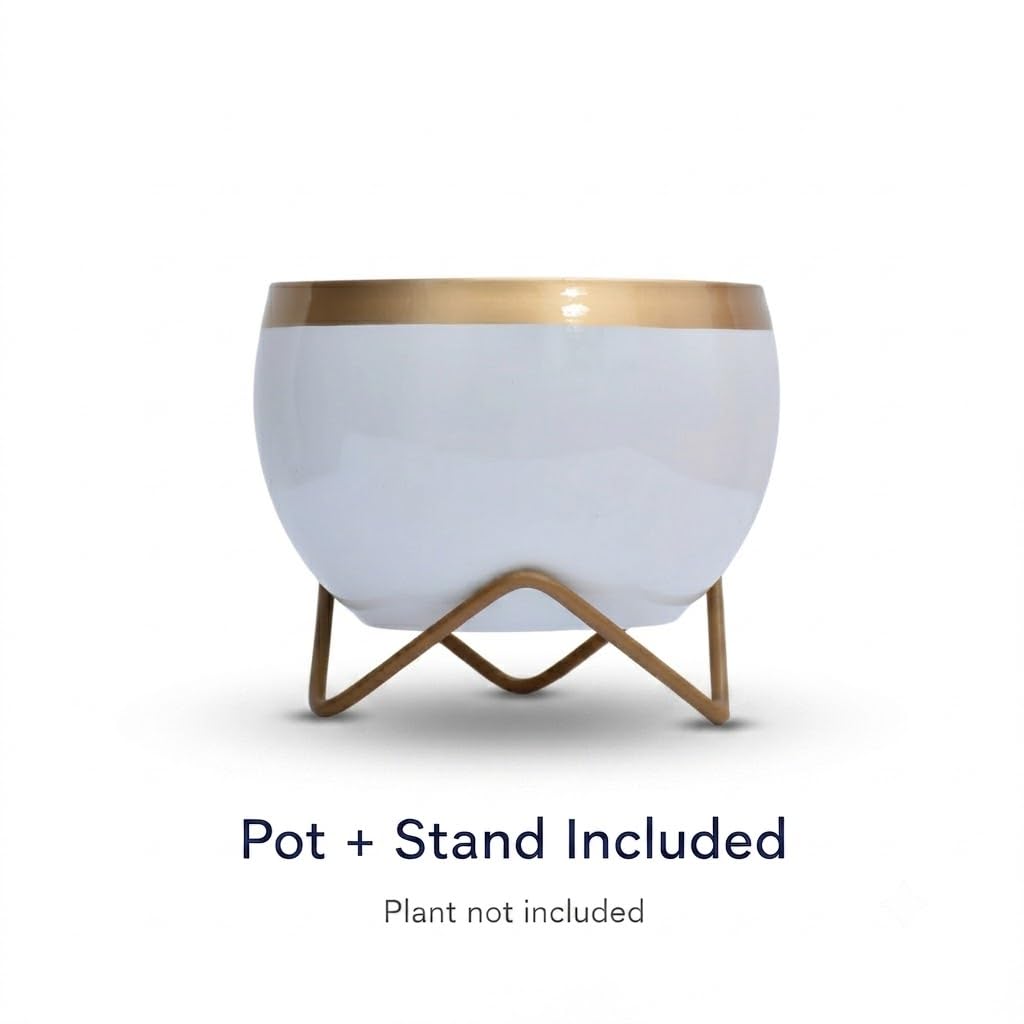 Premium Gold Rim pots