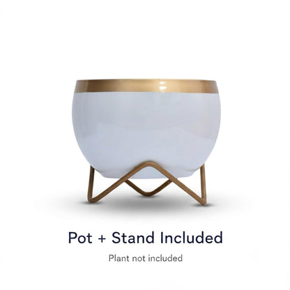 Premium Gold-Rim Metal Planters