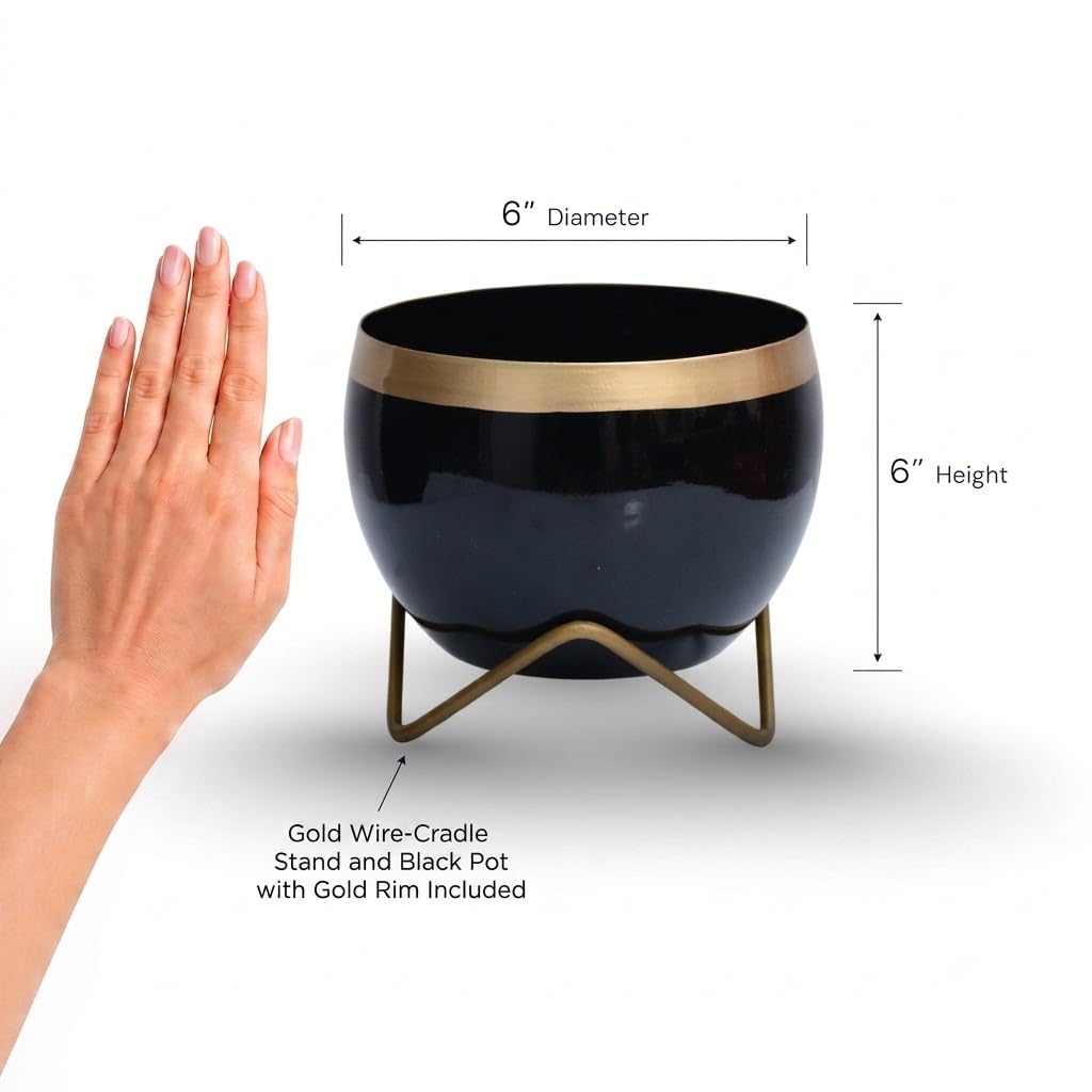 Premium Gold Rim pots