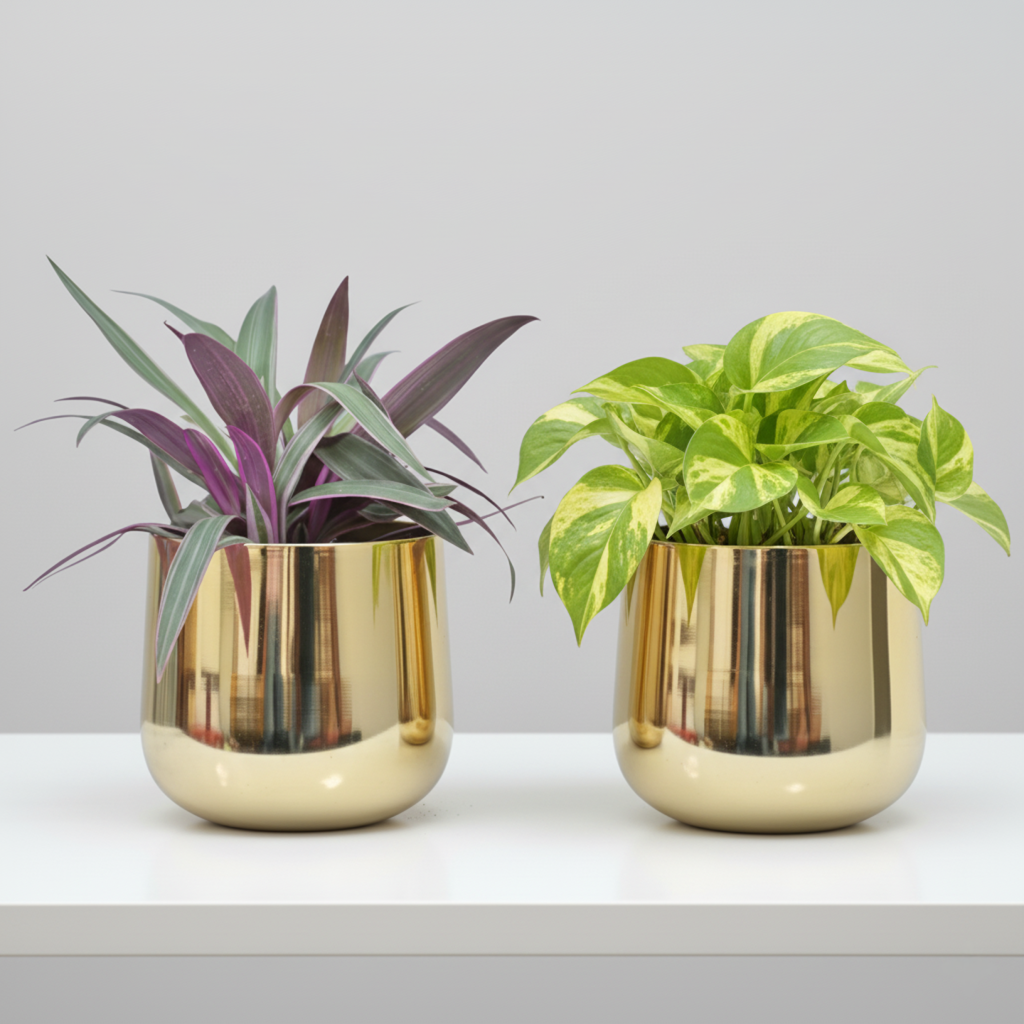 Luxury Big Golden Pot