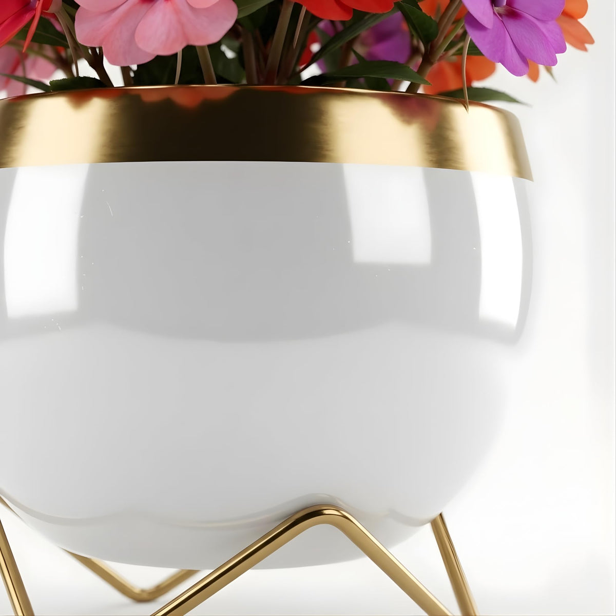 Premium Gold Rim pots