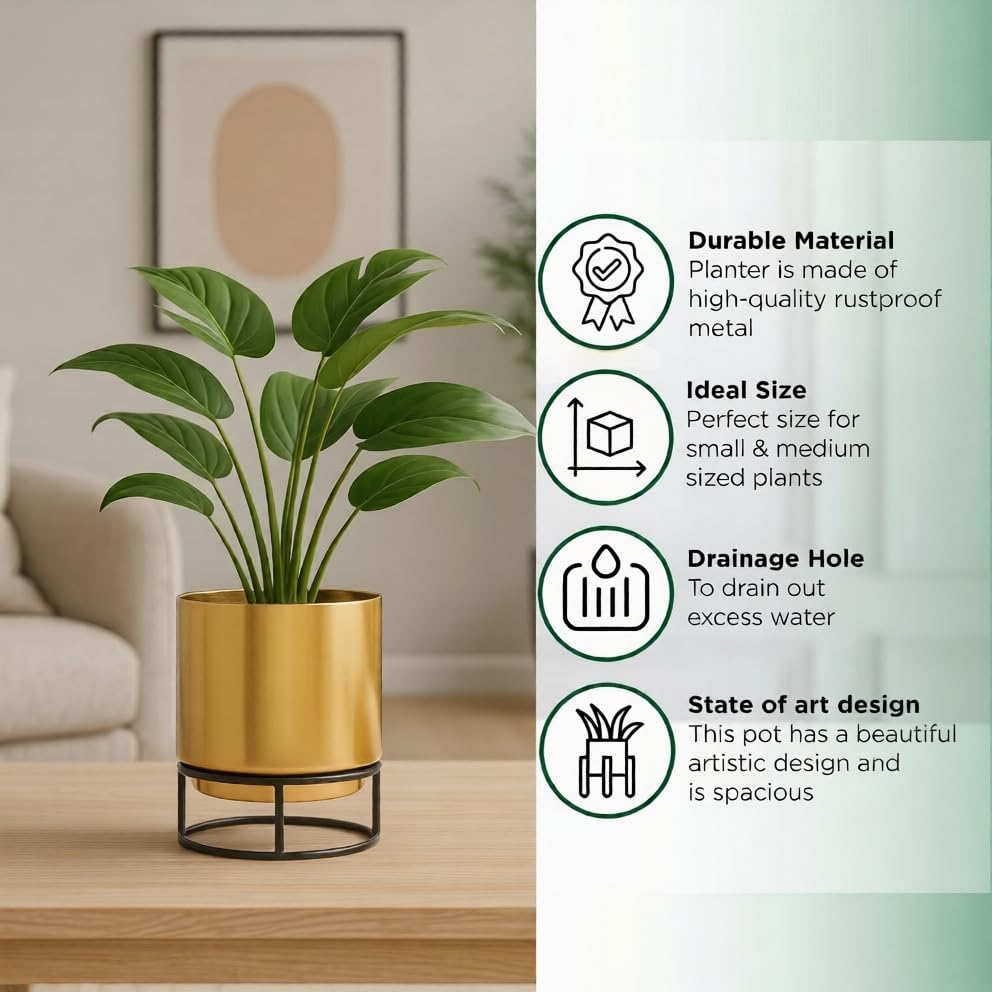 Premium Gold Metal Pot with Black Stand
