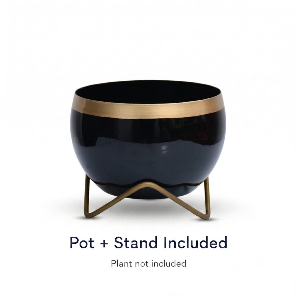 Premium Gold Rim pots