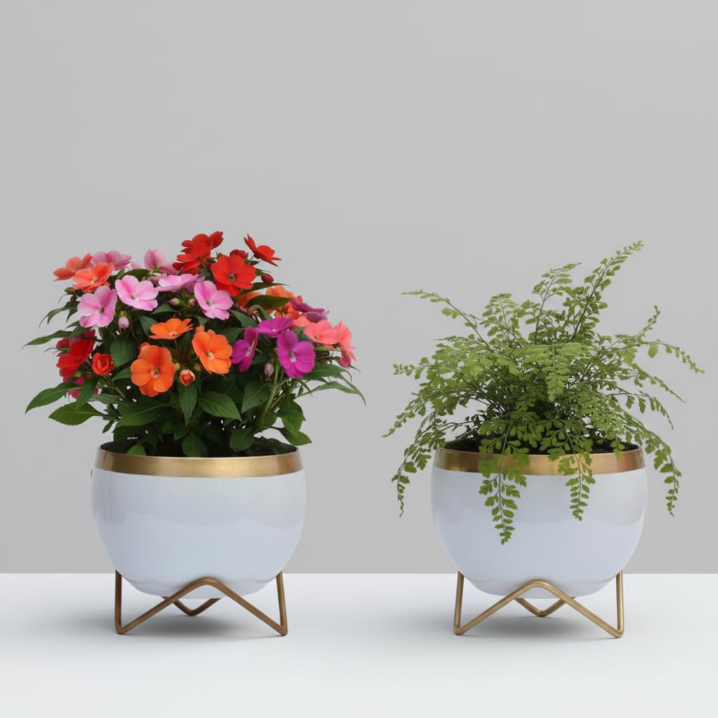 Premium Gold Rim pots