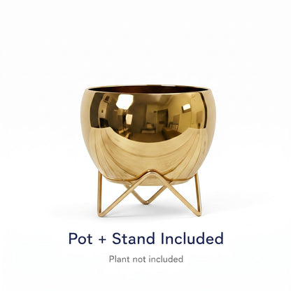 Luxury Golden Metal Planter with Stand