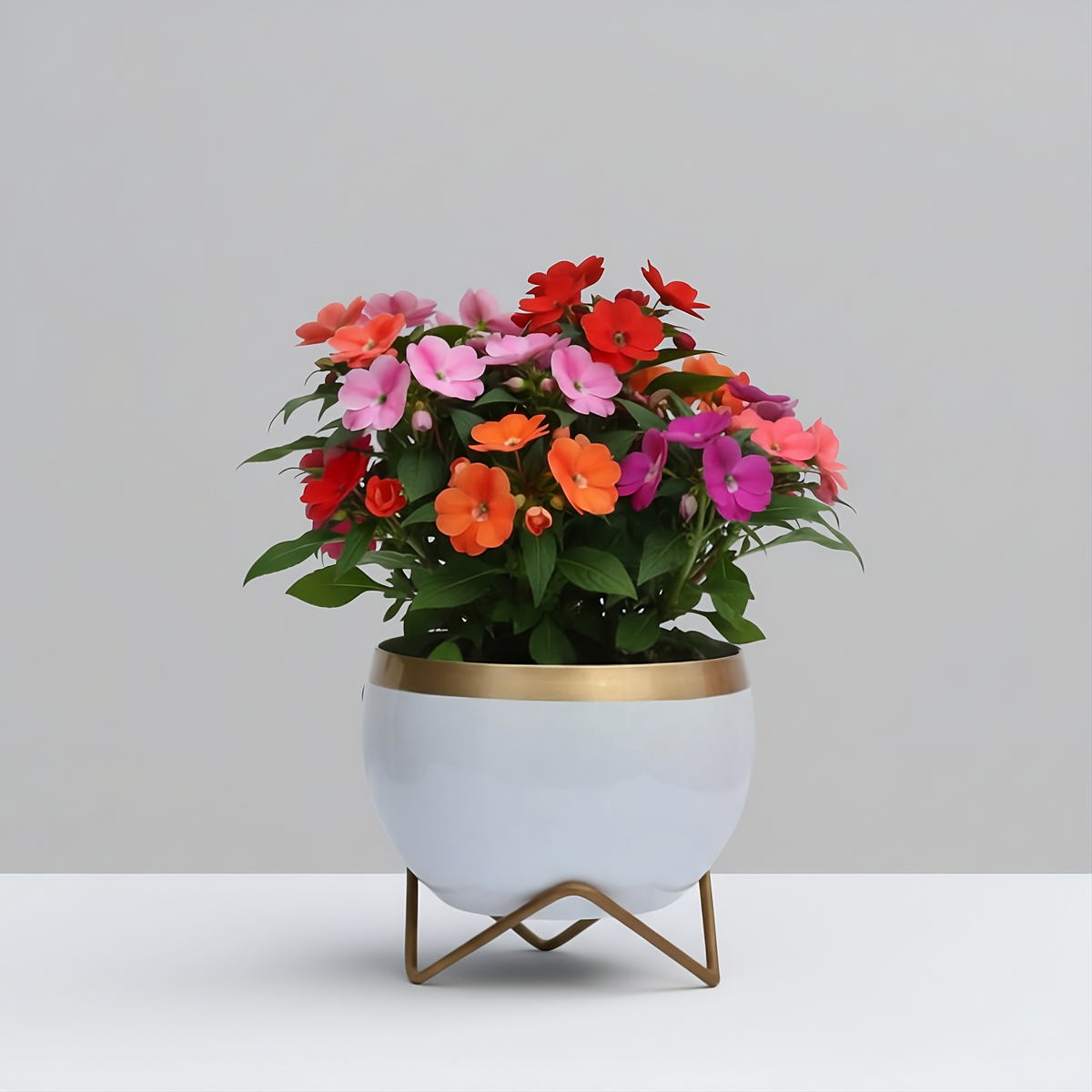 Premium Gold Rim pots